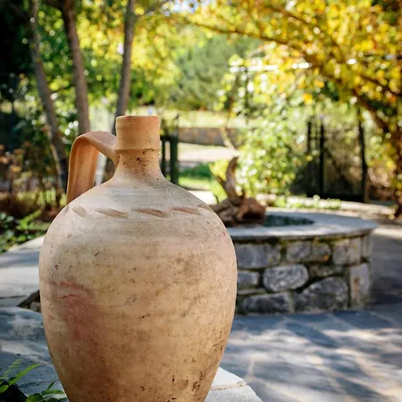 Dual House In Methydrio 公寓