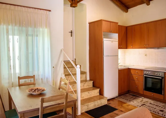 Апартаменты Dual House In Methydrio Витина